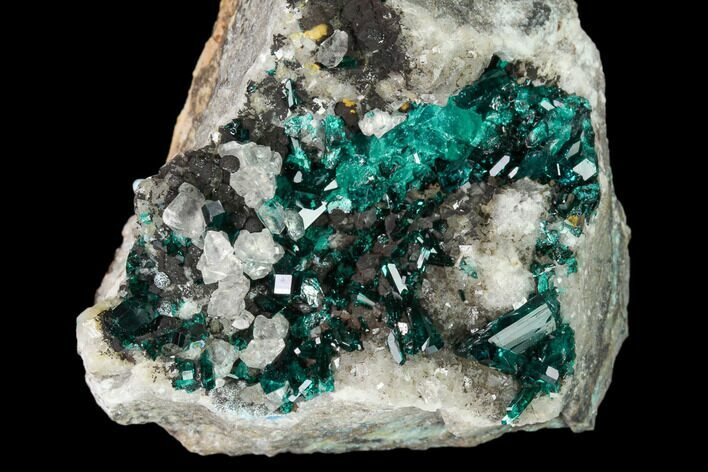 Pristine Dioptase Crystals on Quartz - Kimbedi, Congo #148471